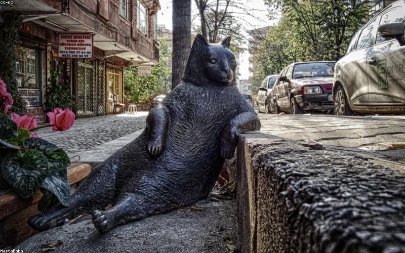 클라우드 보안에 대하여(그야말로 기초)