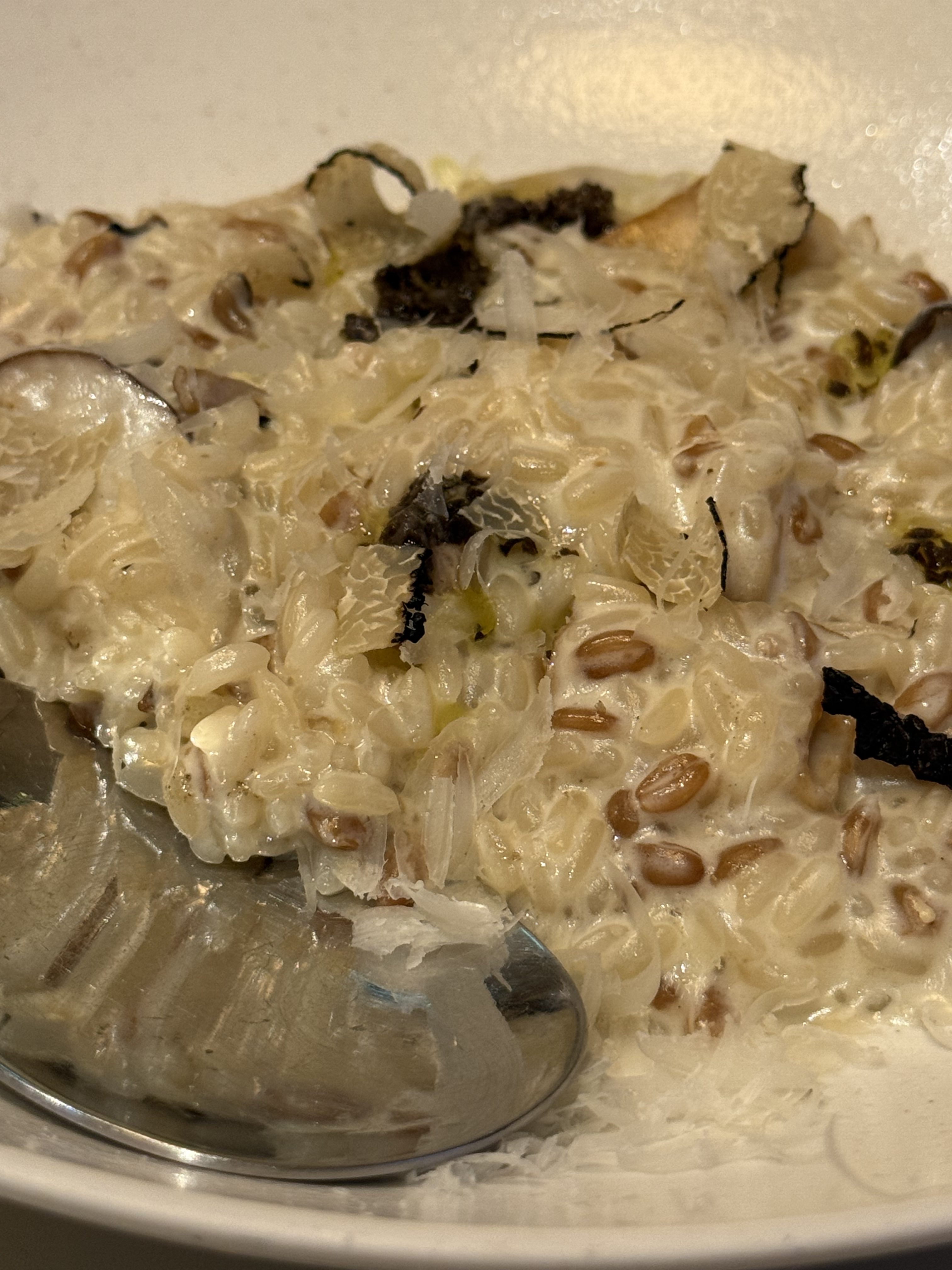 [광화문/맛집] 이탈리안 레스토랑 정석 ‘올리페페’